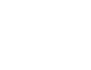 logo_light